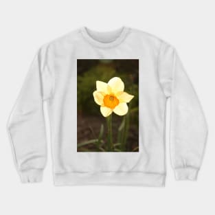 Yellow Daffodil Crewneck Sweatshirt